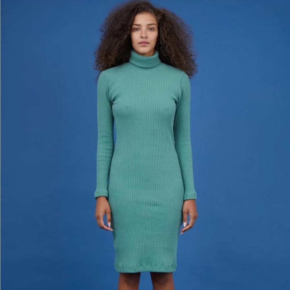 Ilana Kohn Gia Ribbed Turtleneck Dress
